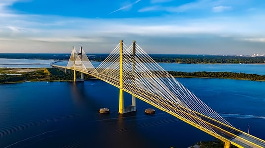 dames-point-bridge-1768738_640
